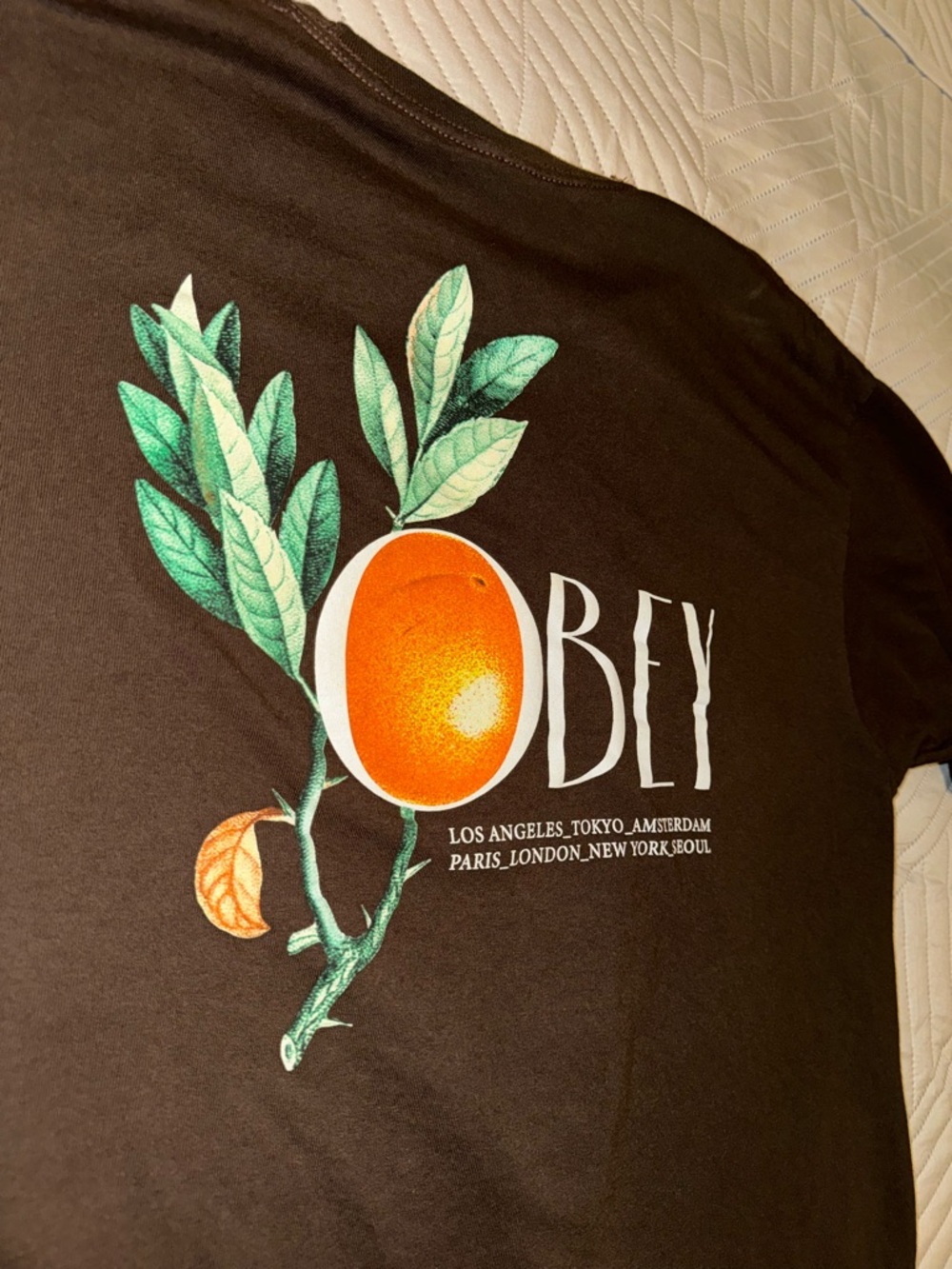 Obey Solid Brown Crewneck Tee